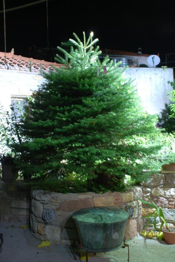 "The Stone" Agios Vlasios (Euboea) Exterior foto