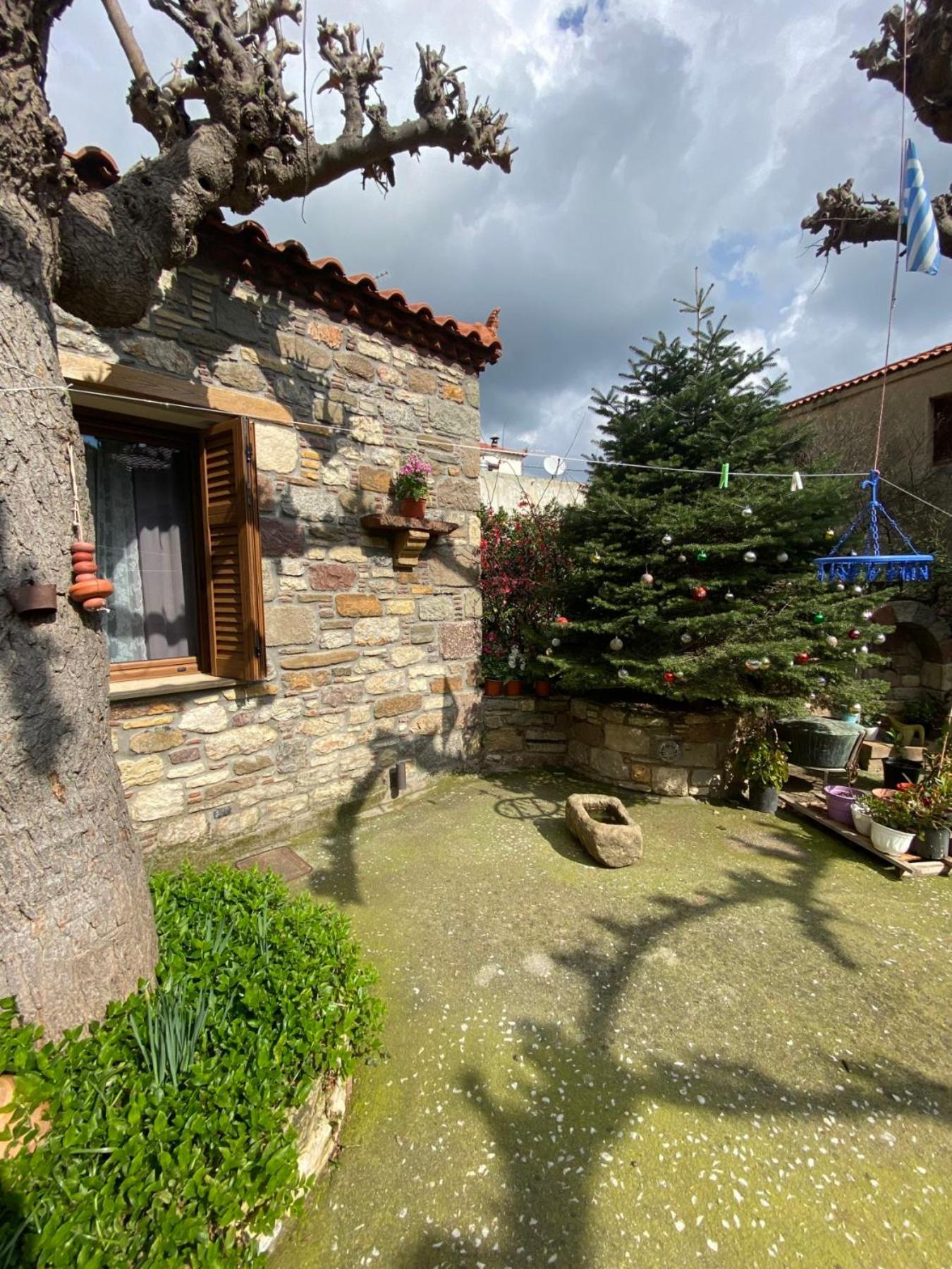 "The Stone" Agios Vlasios (Euboea) Exterior foto